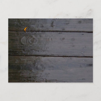 Carte postale "Spot of Color"