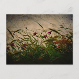 Carte postale Spring Breeze