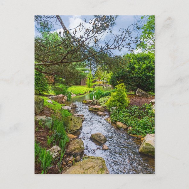 Carte Postale Spring Creek (Devant)