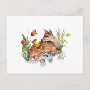Carte Postale Spring Deer