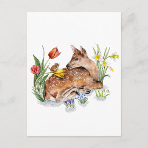 Carte Postale Spring Deer