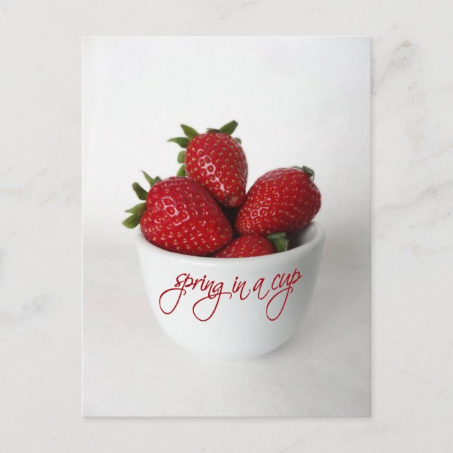 Carte Postale spring in a cup (Devant)