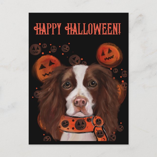 Carte Postale Springer Spaniel Anglais      (Devant)