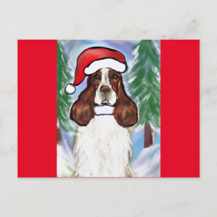 CARTE POSTALE SPRINGER SPANIEL ANGLAIS