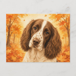 Carte Postale Springer Spaniel Forêt Automnale Chien