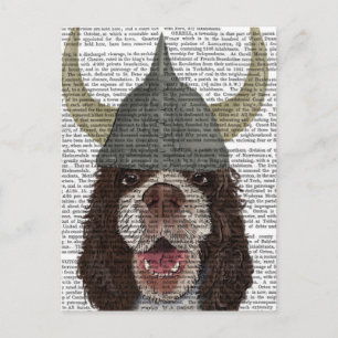 Carte Postale Springer Spaniel Viking