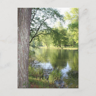 Carte postale "Springtime in East Tennessee"