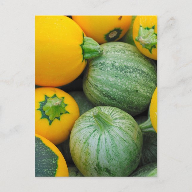 Carte Postale Squash Vert Et Jaune (Devant)