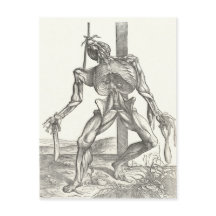 Squelette Cadavre Corps Anatomie Médicale