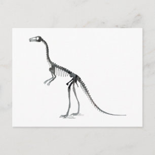 Carte Postale squelette compsognathus
