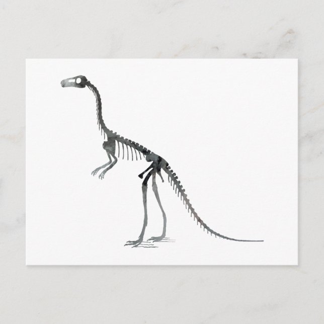 Carte Postale squelette compsognathus (Devant)