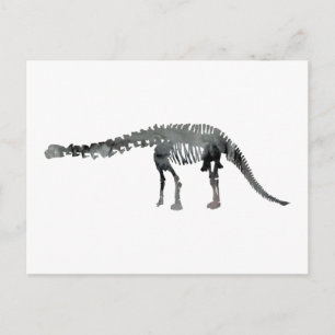 Carte Postale squelette d'apatosaurus