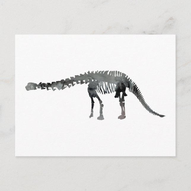 Carte Postale squelette d'apatosaurus (Devant)