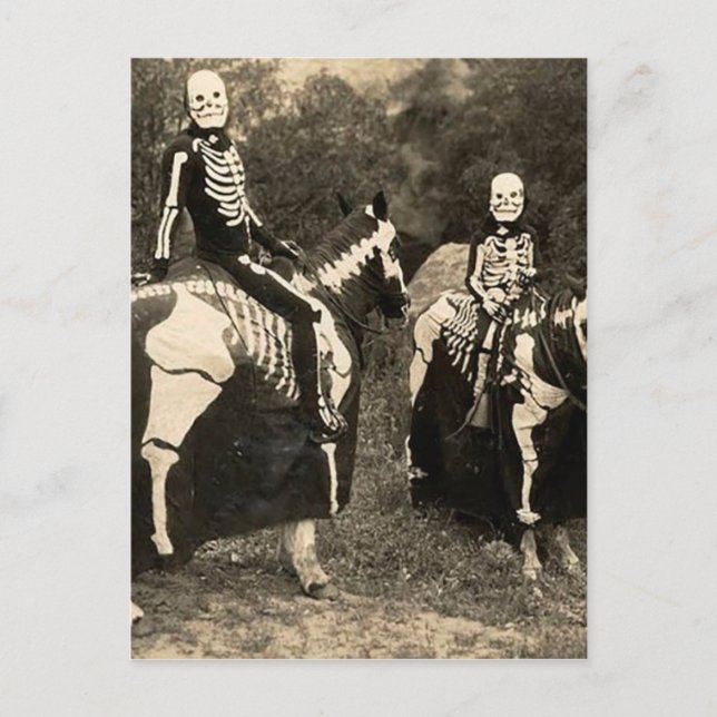 Carte Postale Squelette de cavaliers des années 1900 (Devant)