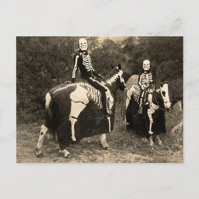 Carte Postale Squelette de cavaliers des années 1900 (Devant)