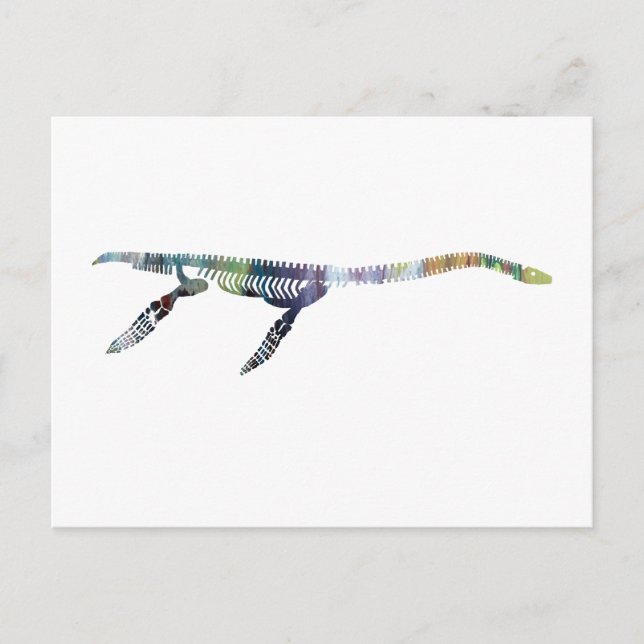 Carte Postale squelette de plesiosaur (Devant)