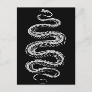 Carte Postale Squelette de serpent coulissant