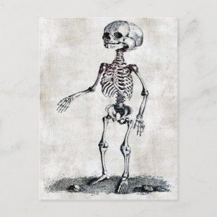 Carte postale Squelette enfant