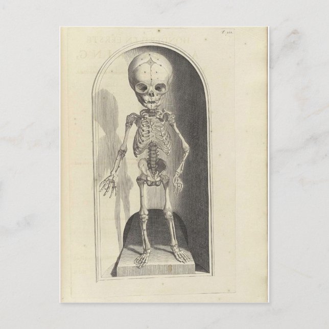 Carte Postale Squelette enfant (Devant)