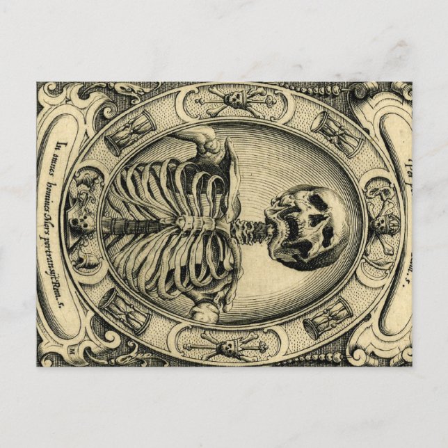Carte Postale Squelette, Gothique, Médiéval (Devant)
