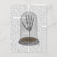 Squelette Main Dans Bell Jar 2