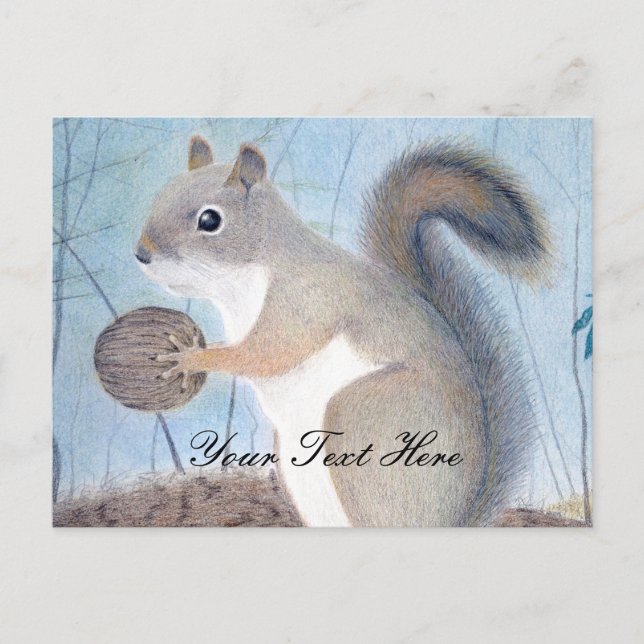 Carte Postale Squirrel (Devant)