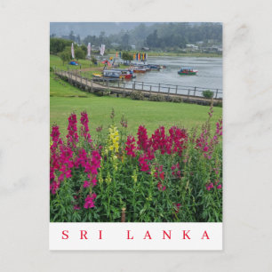 Carte postale Sri Lanka Lake Gregory