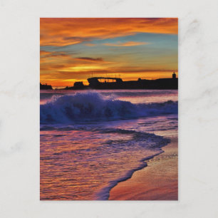 Carte Postale SS Palo Alto.