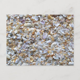 Carte Postale St. Augustine Beach Sand. Minuscules coquilles Flo