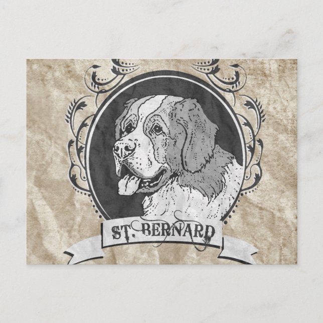 CARTE POSTALE ST. BERNARD (2) (Devant)