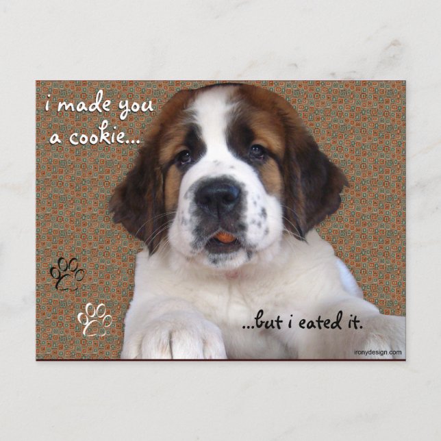 Carte Postale St Bernard Puppy Cookie (Devant)