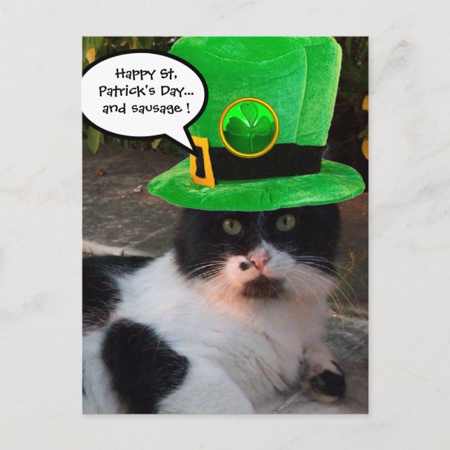 CARTE POSTALE ST BLANC NOIR. LE CASQUETTE DE LA JOURNÉE PATRICK  (Devant)
