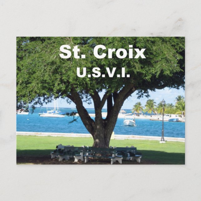Carte Postale St. Croix U.S.V.I. (Devant)