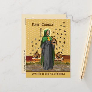 Carte postale St. Gobnait de Ballyvourney (SAE 003