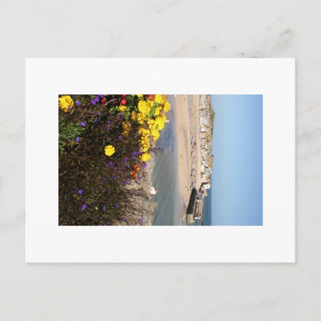 Carte Postale St Ives (Devant)