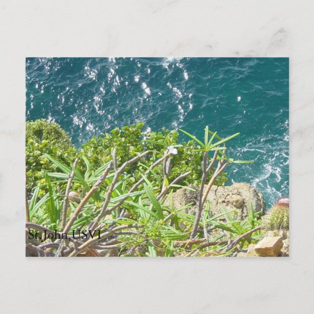 Carte Postale St. John, USVI (Devant)