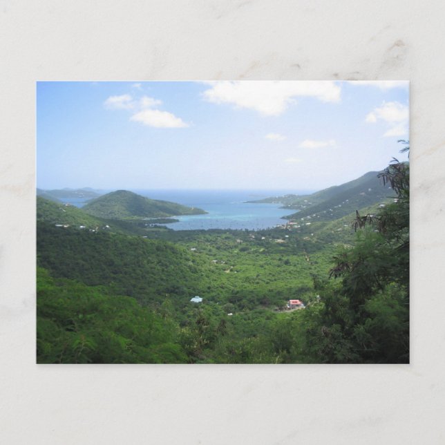 Carte Postale St. Johns4 (Devant)