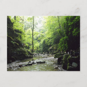 Carte Postale St Nectans Glen Cornwall Photographie