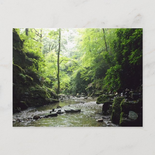 Carte Postale St Nectans Glen Cornwall Photographie (Devant)