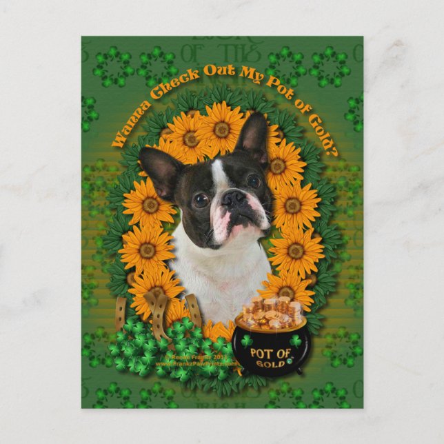 Carte Postale St patrick - Pot d'or - Boston Terrier (Devant)
