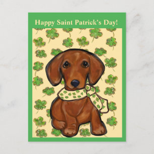 Carte Postale St.Patty Doxie  