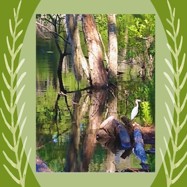 Carte Postale St. Simons Island, GA Lagoon et Egret Postcard (Créateur téléchargé)