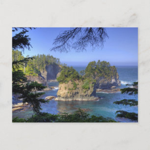 Carte Postale Stacks marins, terres tribales de la nation Makah,