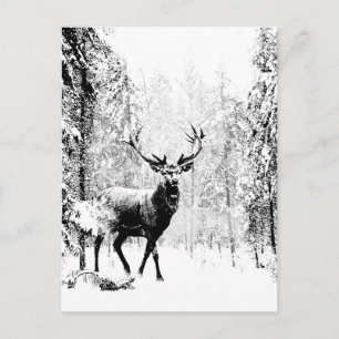 Carte Postale Stade Deer Forêt d'hiver Faune Animal Nature Art