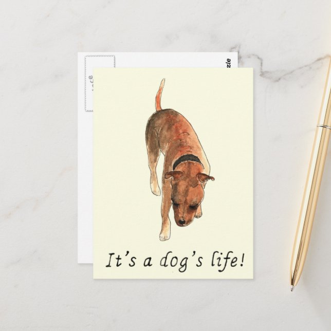 Carte Postale Staffordshire Bull Terrier Dit (Devant/Arrière en situation)