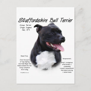 Carte Postale Staffordshire Bull Terrier Histoire