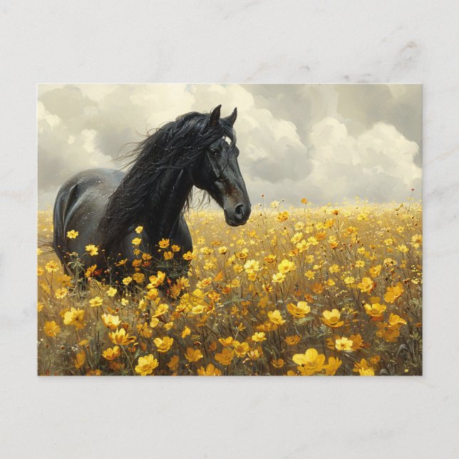 Carte Postale Stallion noir avec Fleurs sauvages jaunes (Devant)