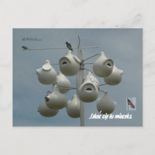 Carte postale Stamford Ct