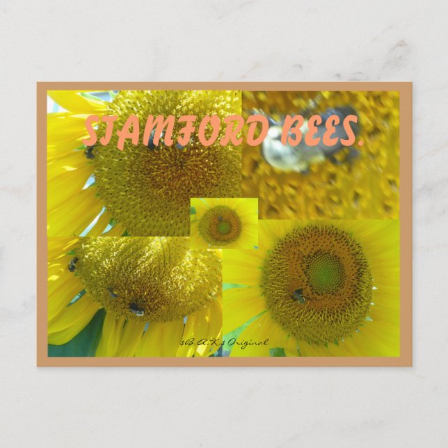 CARTE POSTALE STAMFORD CT ABEILLES (Devant)