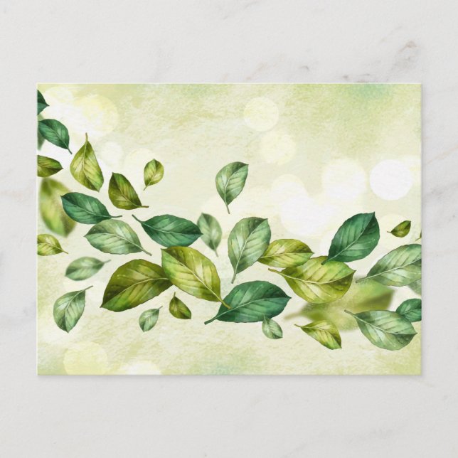 Carte postale standard (Devant)